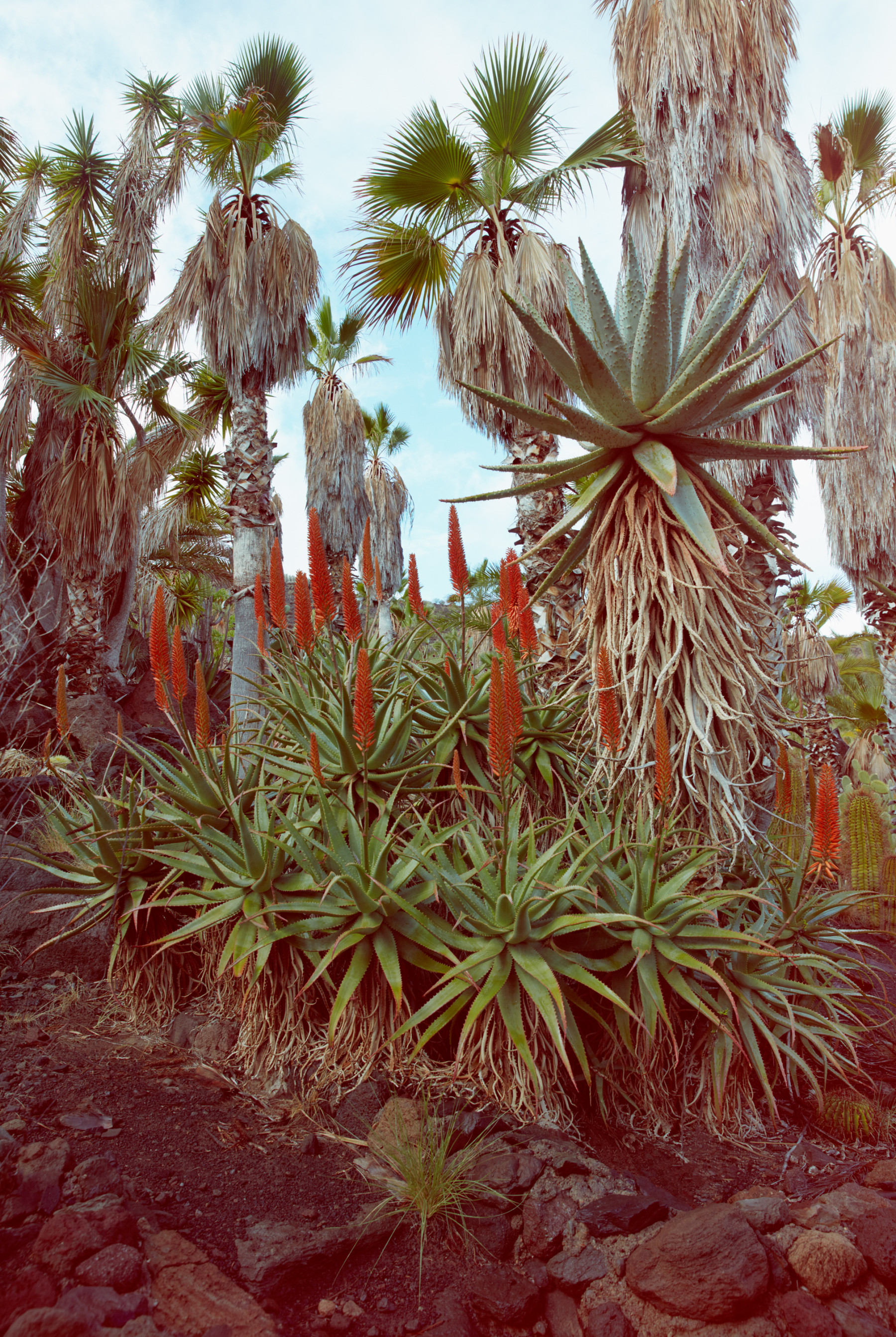 Vogue Japan, Camilla Åkrans, 2021