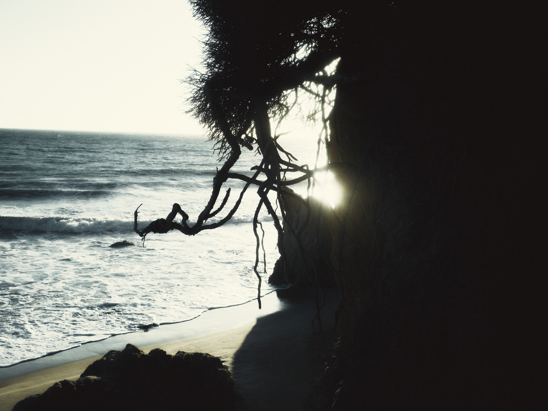 Helsa, Yulia Gorbachenko, 2023